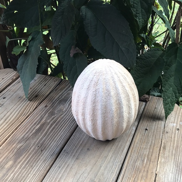 Pottery Barn Country Chic Rustic Weathered Small Size Handcrafted Easter Egg 🐰 - Picture 15 of 16